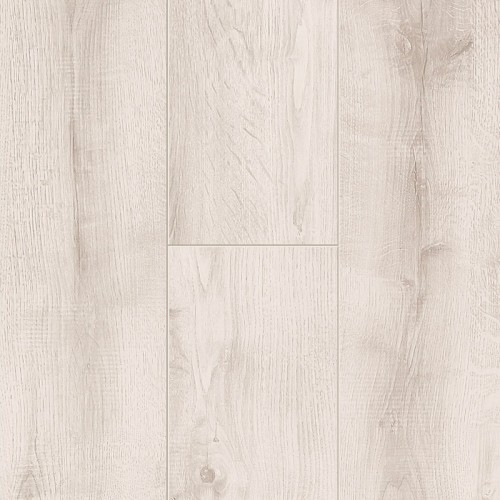 LIPICA OAK